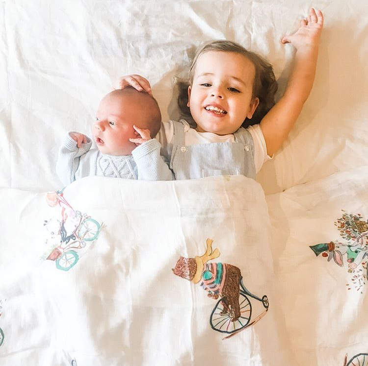 01C6B808-8459-4267-A9EE-6FC0CC5012DA