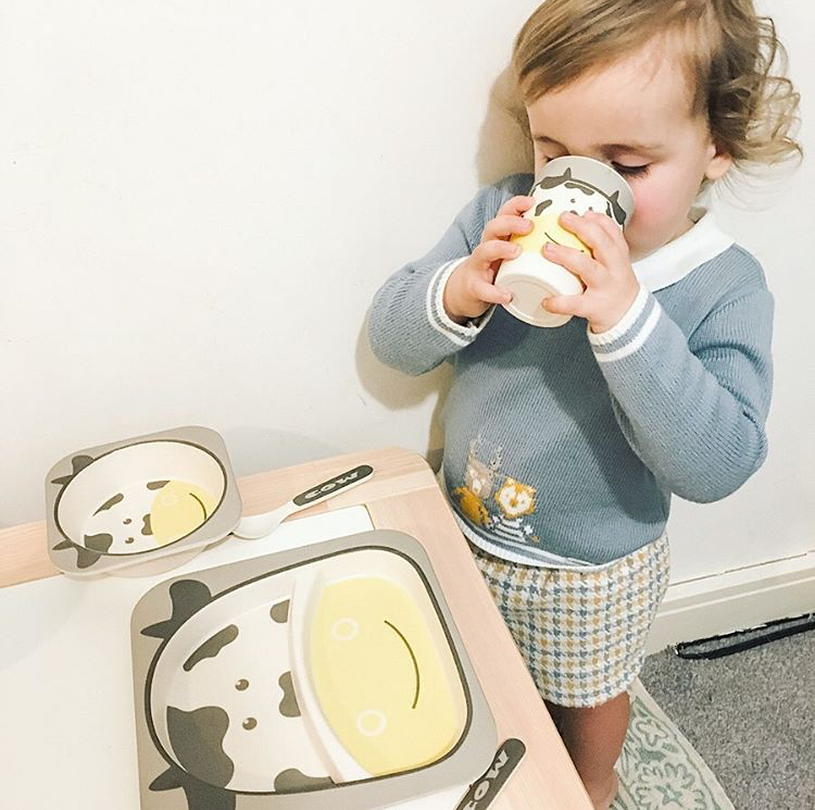 2C040CC8-928A-43D5-B456-A3EB55CE995F