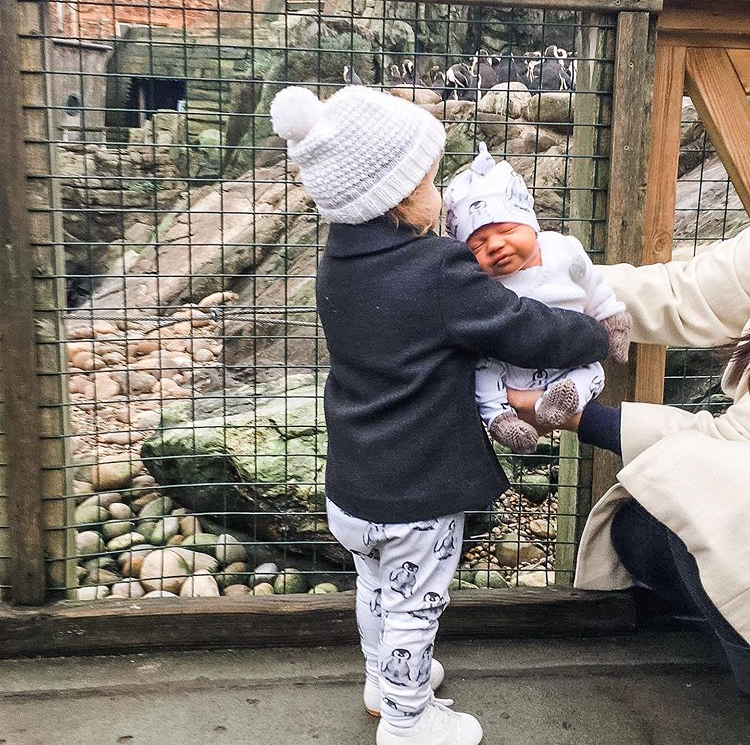 76ADAA5A-23DD-4EE4-AD1A-5A7C43849E83